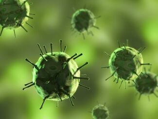 Les bactéries provoquent des maladies dans lesquelles se produisent la sécrétion de boue