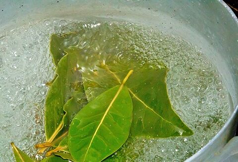 Une décoction de feuilles de laurier pour un bain relaxant en cas de problèmes de puissance